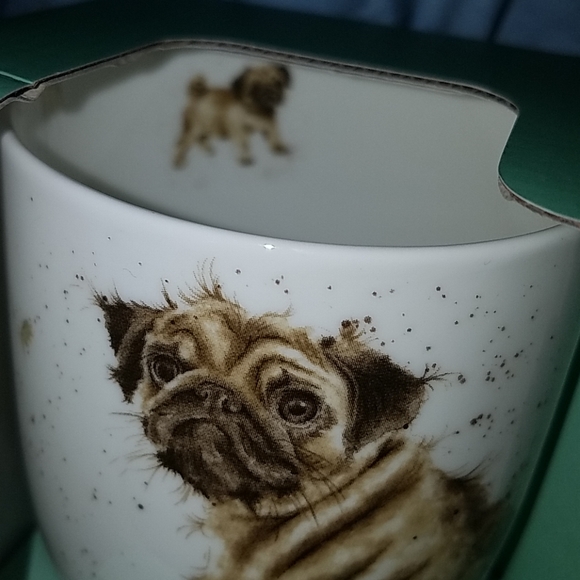 Pug Royal Worcester - Picture 5 of 5